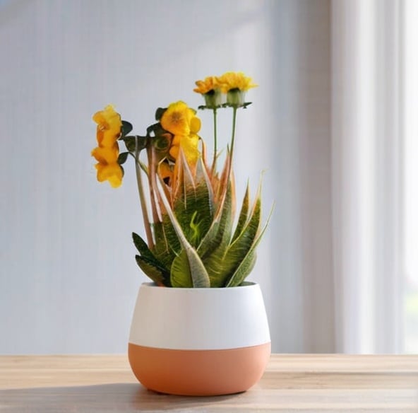 Nordic Flower Pot