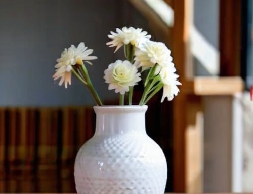 What’s The Difference Between Ceramic Vase and Pot?