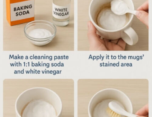 How to Care for Custom Logo Ceramic Tableware: Expert Tips for Dishes, Tiles & Pottery