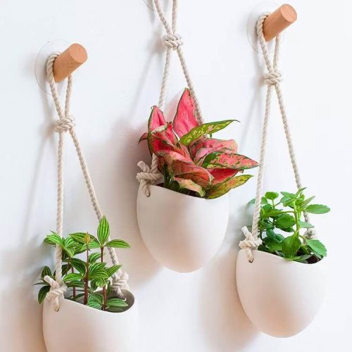 Stylish ceramic indoor hanging planters for living room and balcony décor
