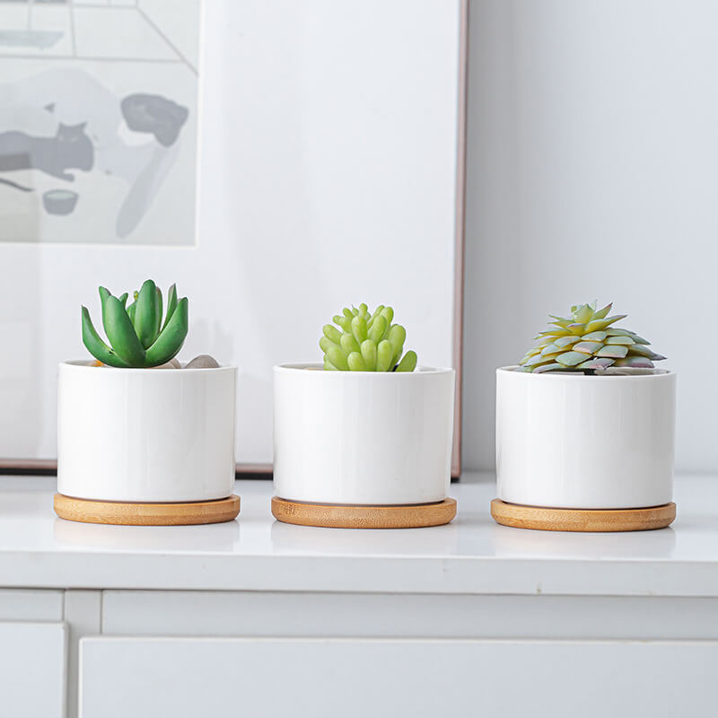 Custom ceramic pots factory supply, perfect for wholesale succulent and cactus planters.
