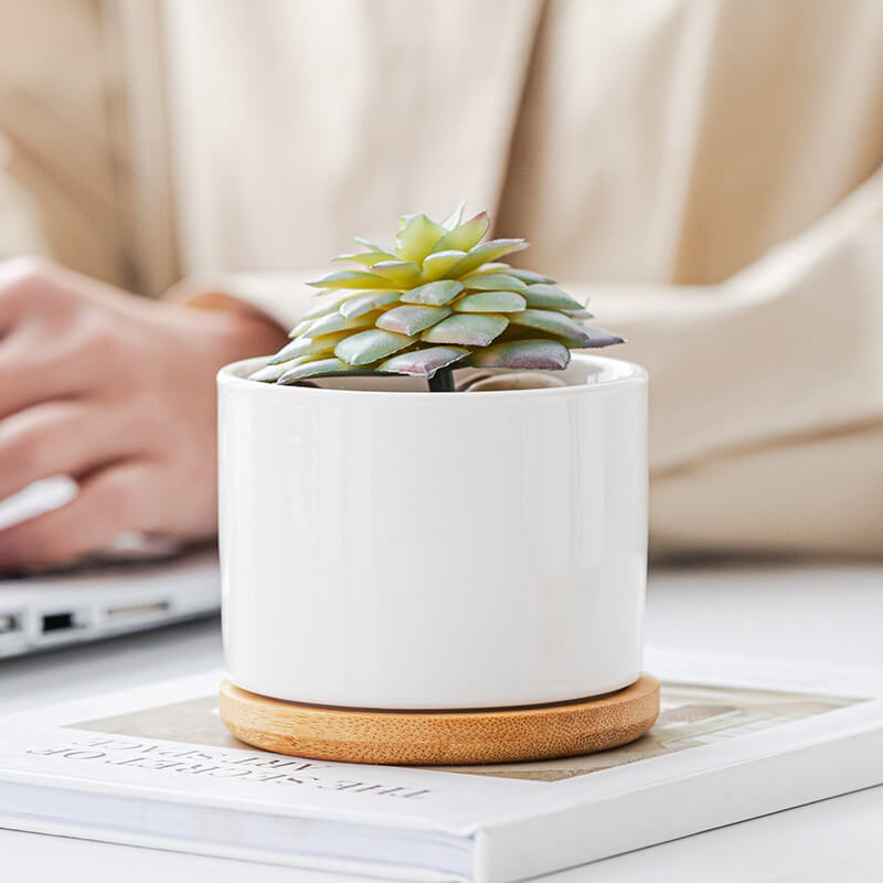 White ceramic pots with drainage hole, stylish succulent planters for export market.