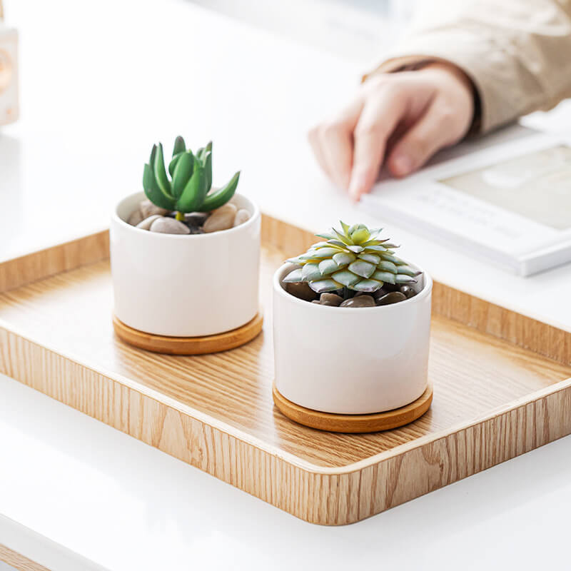 Durable ceramic pots for cactus and herbs, ideal for indoor and outdoor plant decoration.