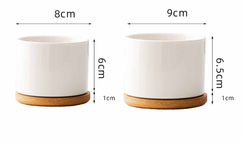 Ceramic pots for succulents with modern design, wholesale plant pot supplies from China.